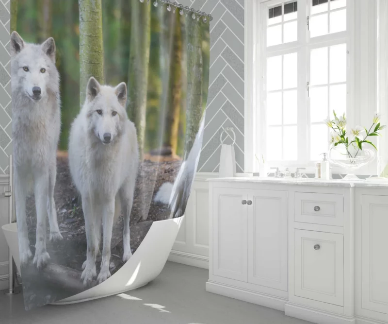 Wolf Gaze Wilderness Majesty Shower Curtain 1