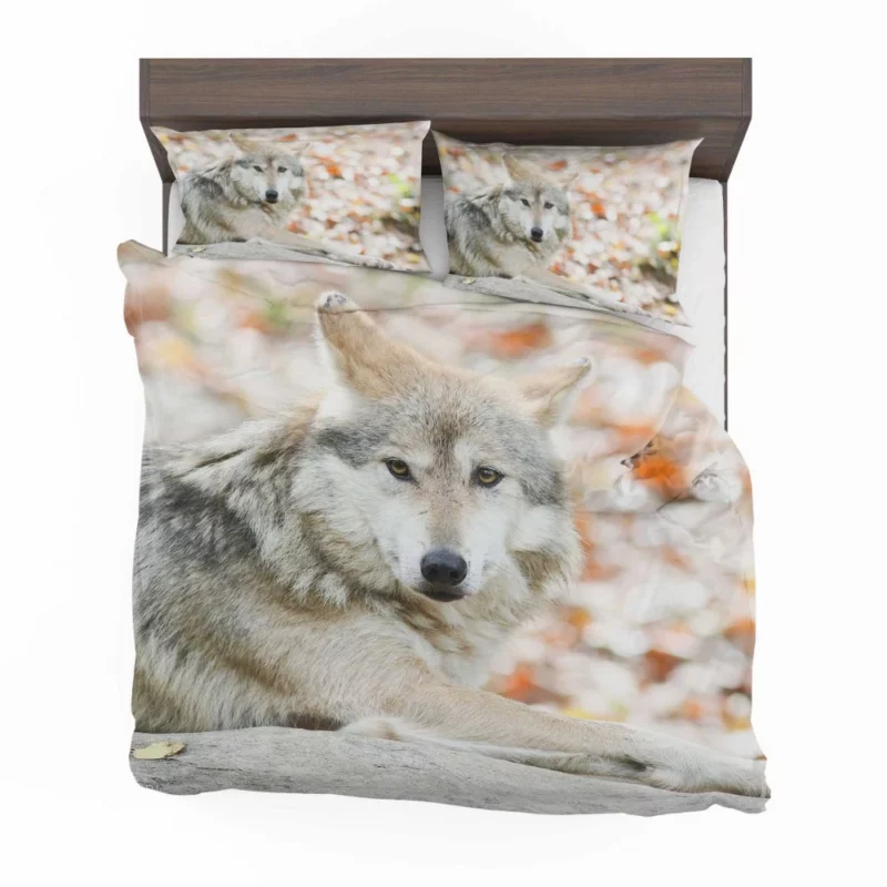 Wolf Haunting Gaze Bedding Set 1