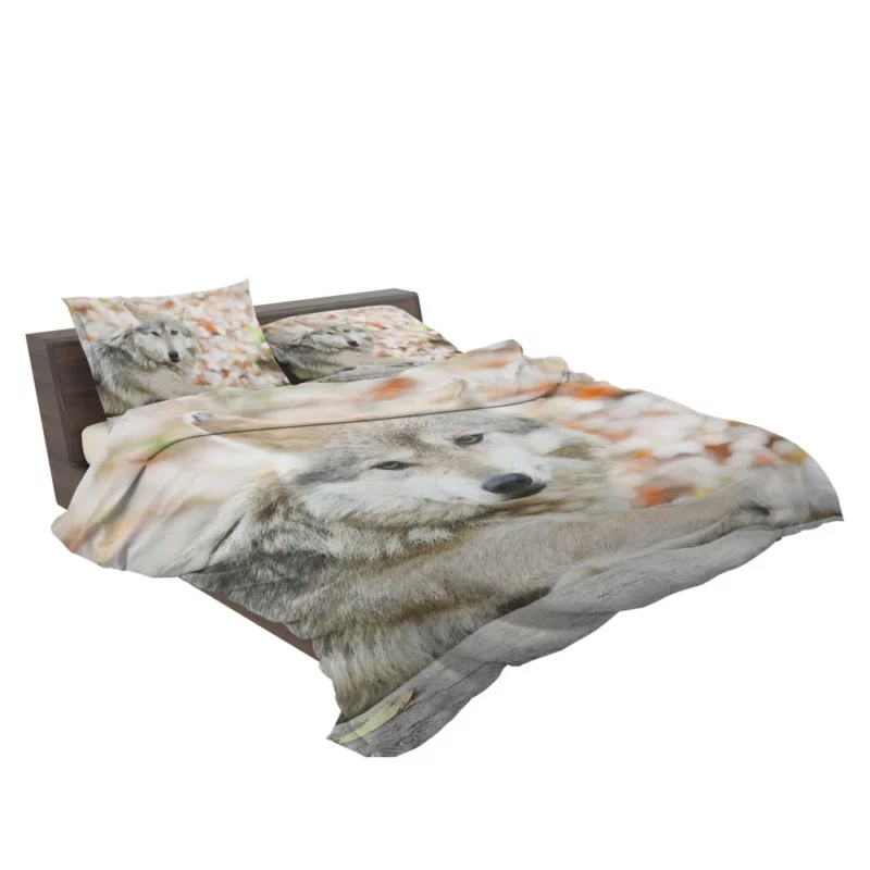 Wolf Haunting Gaze Bedding Set 2