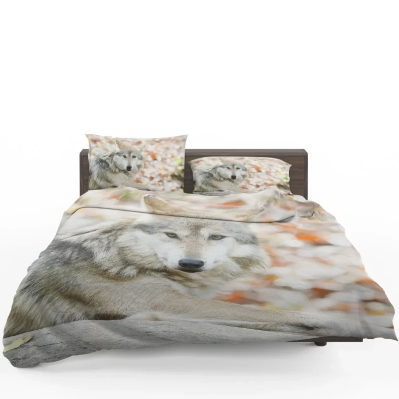 Wolf Haunting Gaze Bedding Set