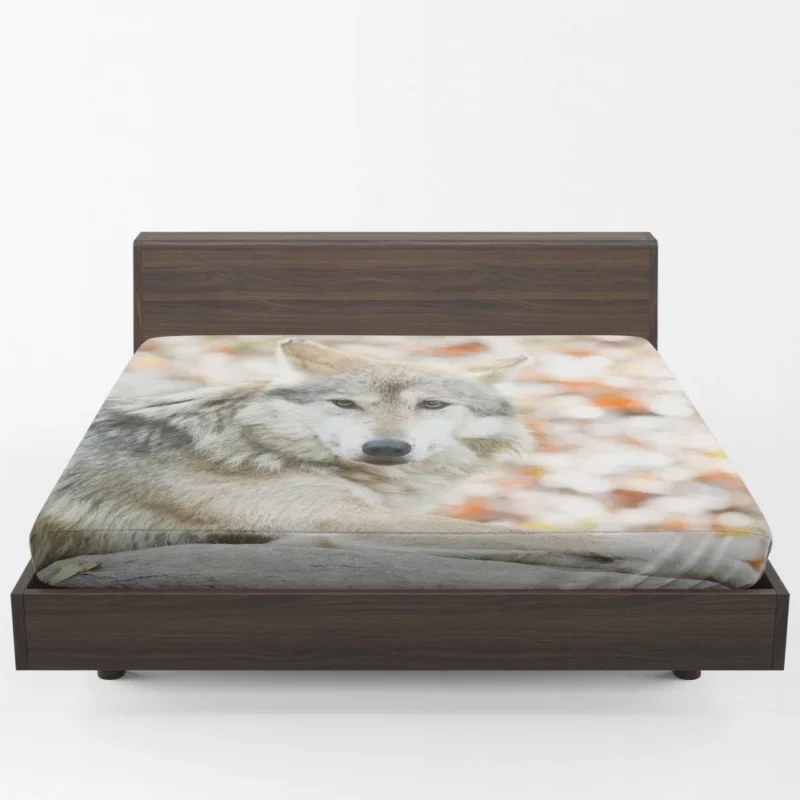 Wolf Haunting Gaze Fitted Sheet