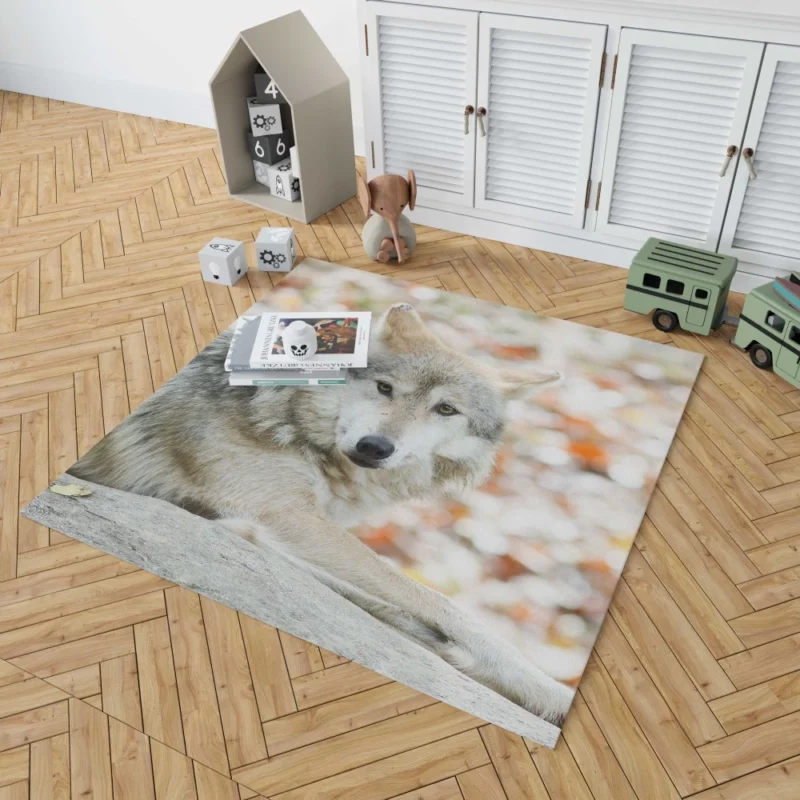 Wolf Haunting Gaze Rug 1