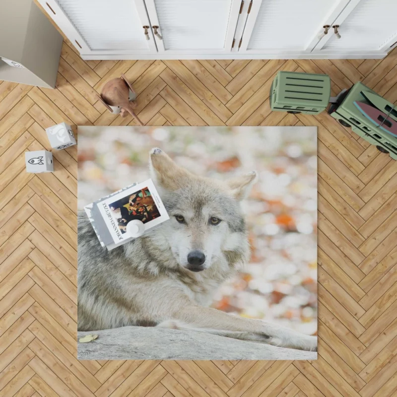 Wolf Haunting Gaze Rug