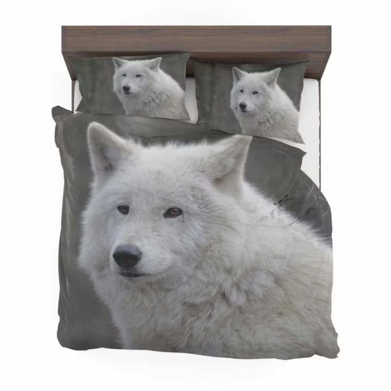 Wolf Intense Gaze Untamed Majesty Bedding Set 1