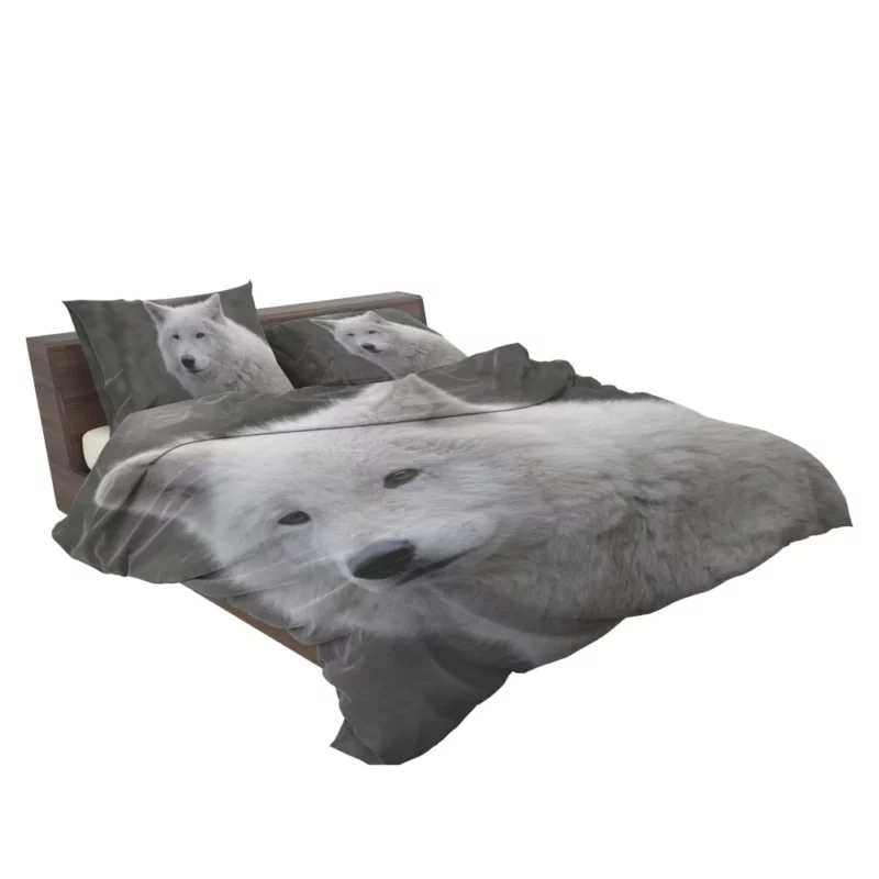 Wolf Intense Gaze Untamed Majesty Bedding Set 2