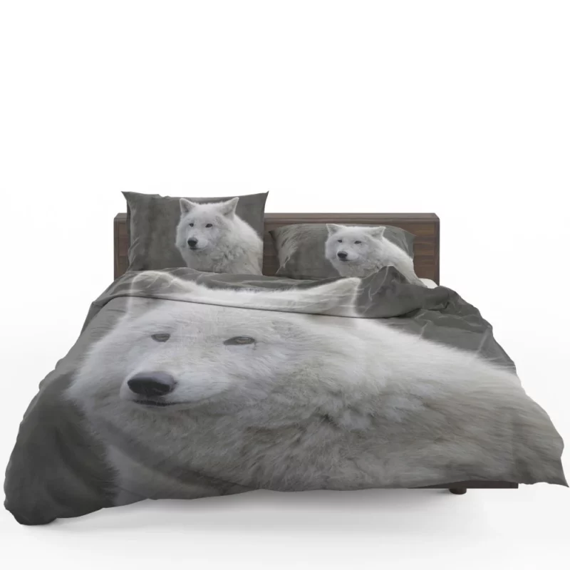 Wolf Intense Gaze Untamed Majesty Bedding Set