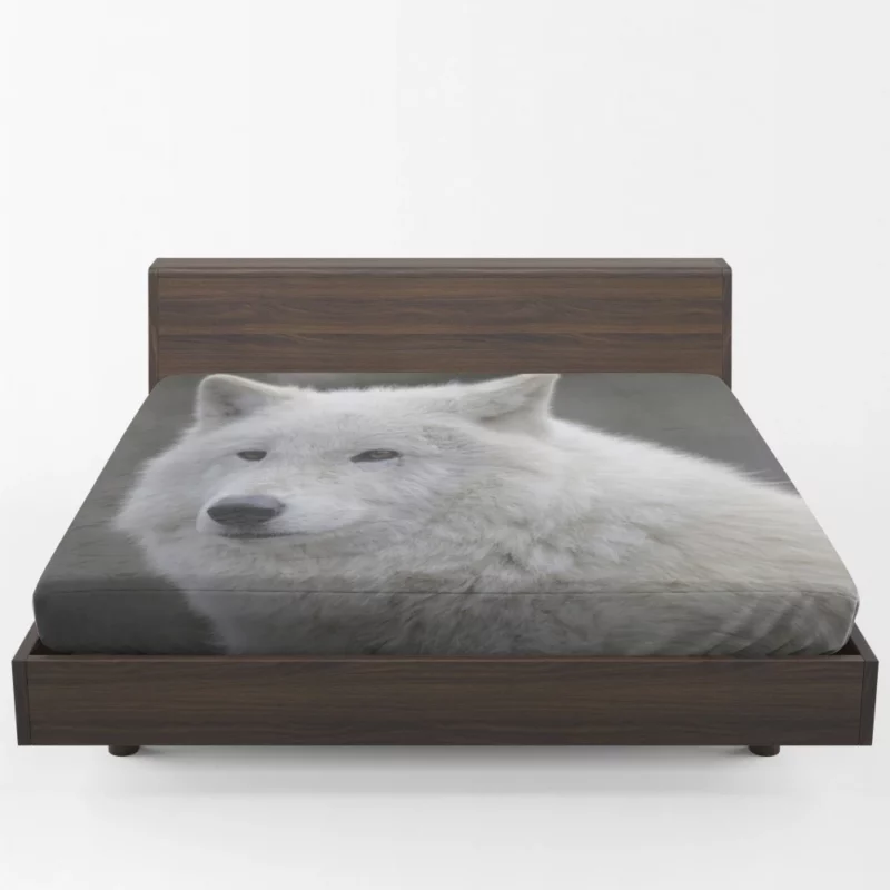 Wolf Intense Gaze Untamed Majesty Fitted Sheet