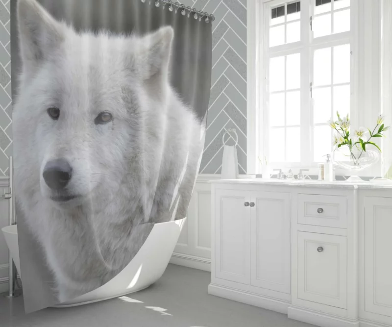 Wolf Intense Gaze Untamed Majesty Shower Curtain 1