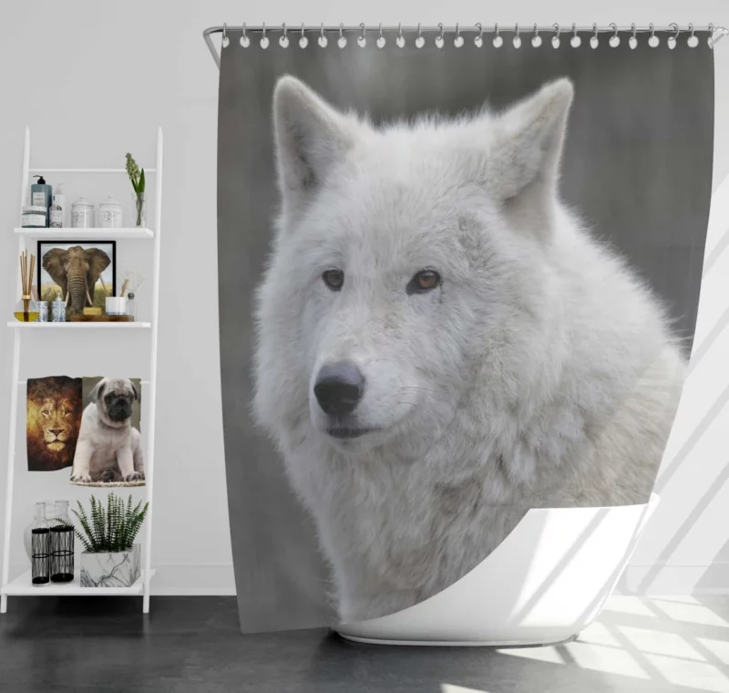 Wolf Intense Gaze Untamed Majesty Shower Curtain