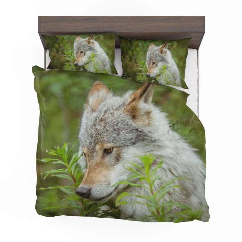 Wolf Intense Stare Captivating Wildness Bedding Set 1