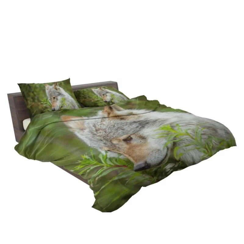 Wolf Intense Stare Captivating Wildness Bedding Set 2