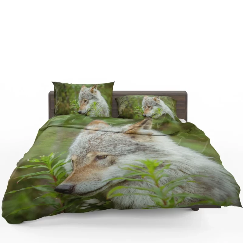 Wolf Intense Stare Captivating Wildness Bedding Set