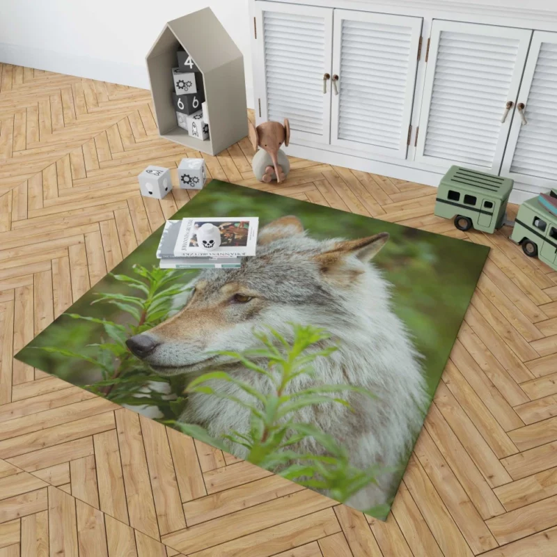 Wolf Intense Stare Captivating Wildness Rug 1