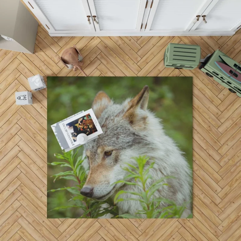 Wolf Intense Stare Captivating Wildness Rug