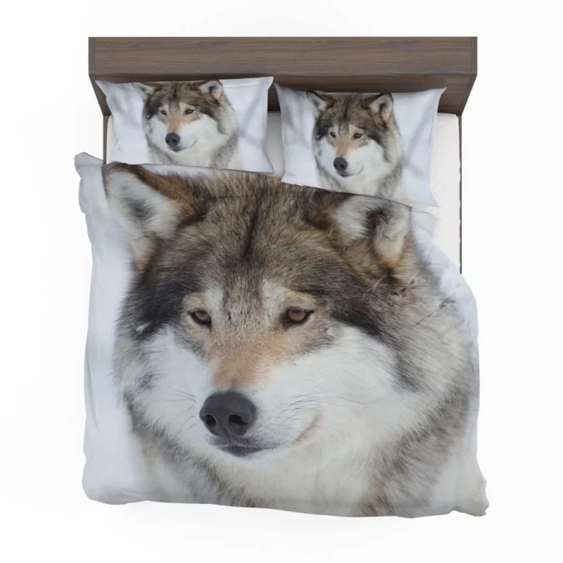 Wolf Intense Stare Enigmatic Gaze Bedding Set 1