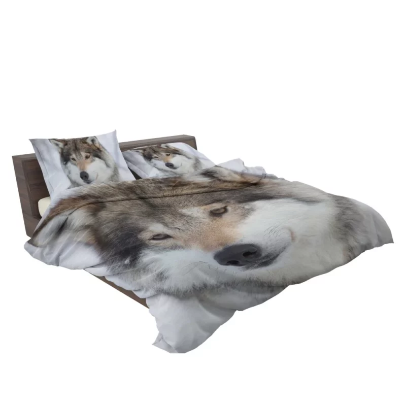 Wolf Intense Stare Enigmatic Gaze Bedding Set 2