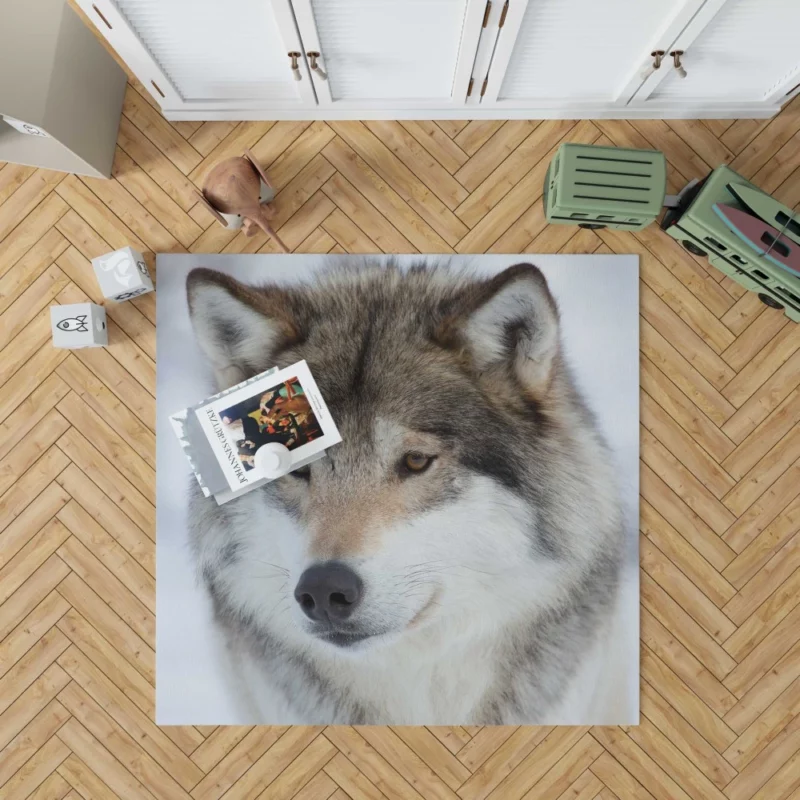 Wolf Intense Stare Enigmatic Gaze Rug