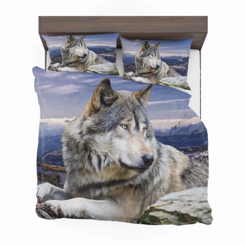 Wolf Intense Stare Untamed Intrigue Bedding Set 1