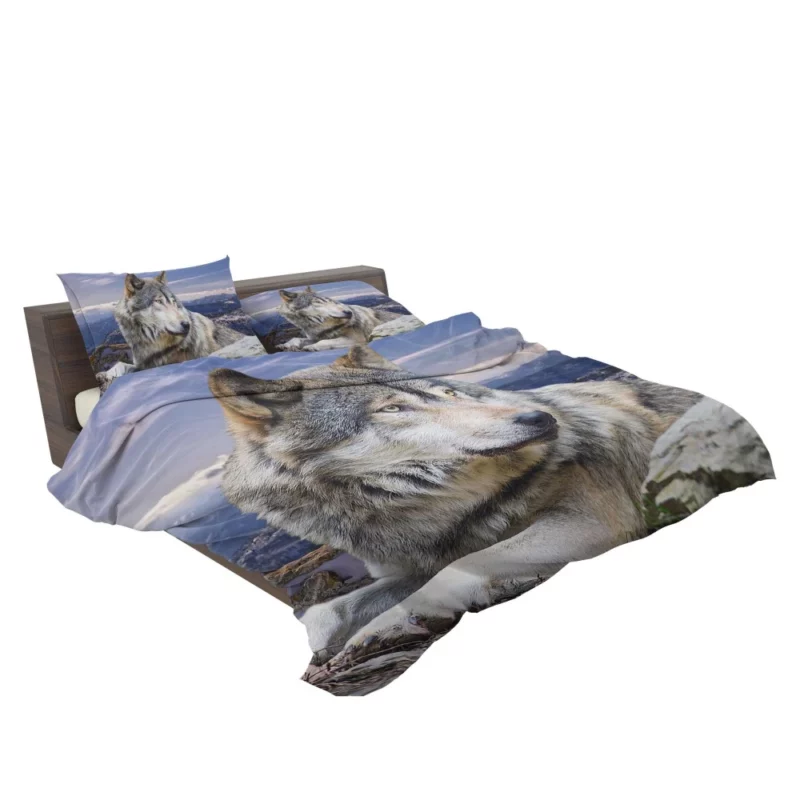 Wolf Intense Stare Untamed Intrigue Bedding Set 2