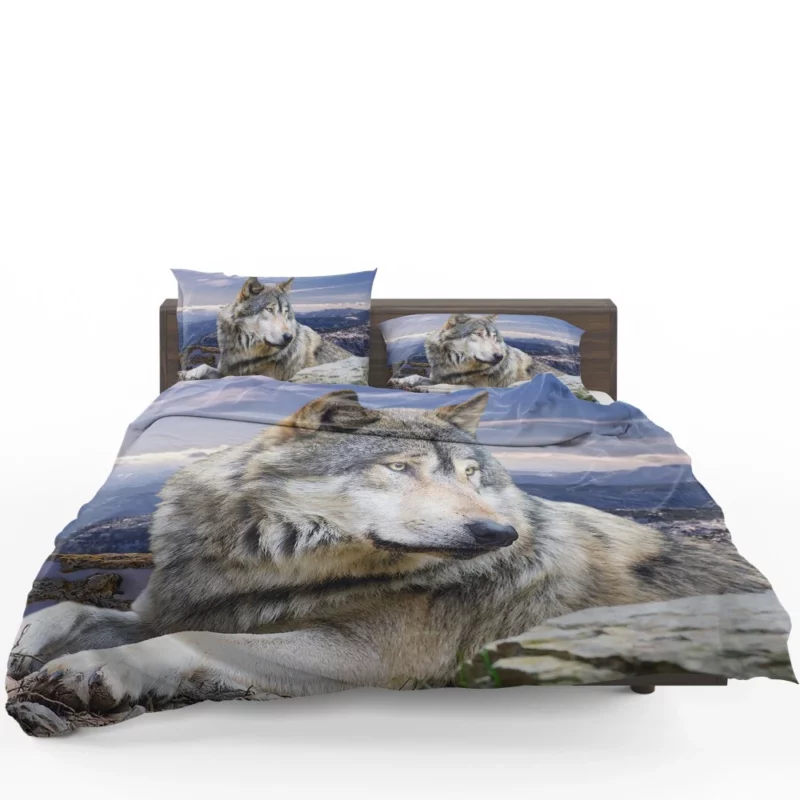 Wolf Intense Stare Untamed Intrigue Bedding Set