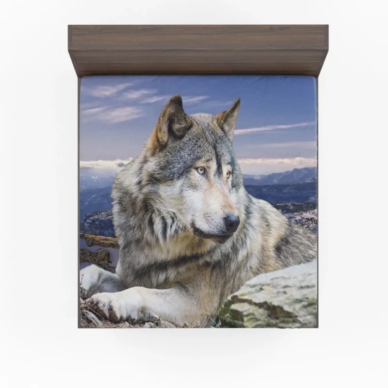 Wolf Intense Stare Untamed Intrigue Fitted Sheet 1