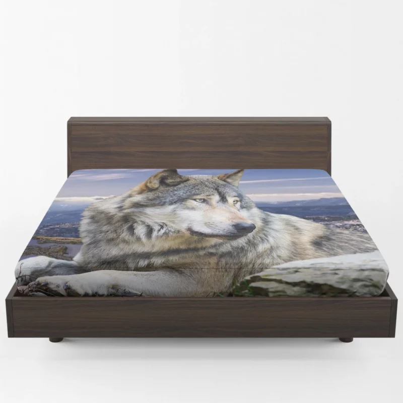 Wolf Intense Stare Untamed Intrigue Fitted Sheet