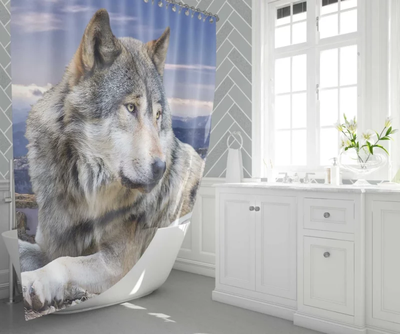 Wolf Intense Stare Untamed Intrigue Shower Curtain 1