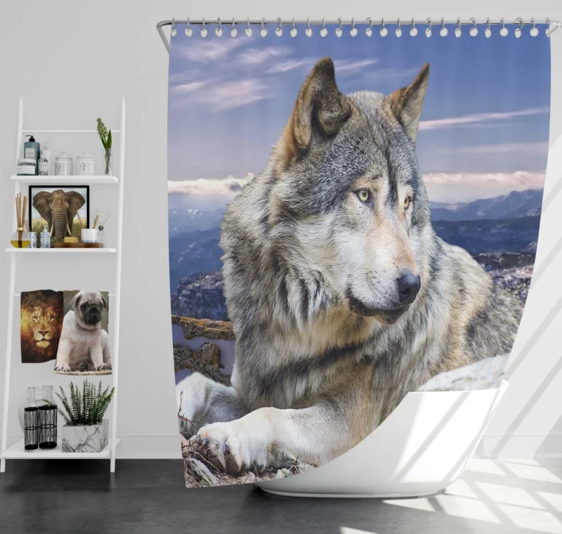 Wolf Intense Stare Untamed Intrigue Shower Curtain