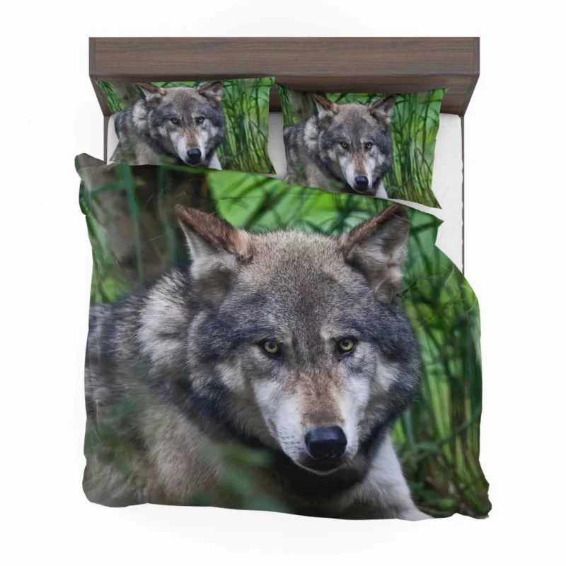 Wolf Intense Stare Wilderness Aura Bedding Set 1