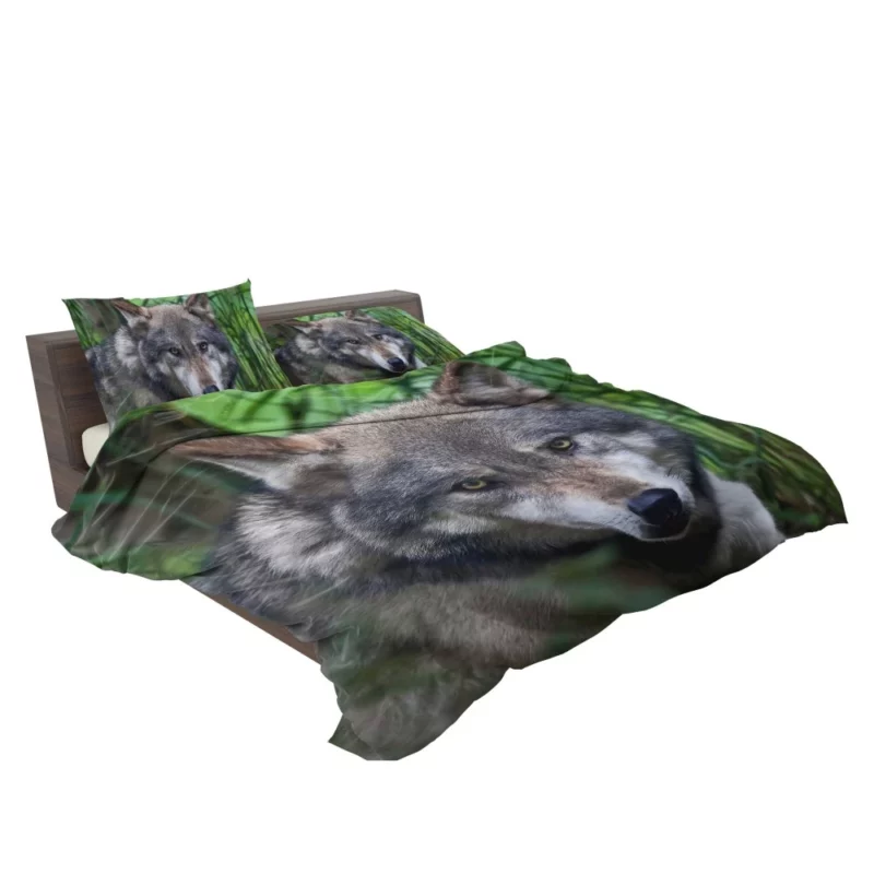 Wolf Intense Stare Wilderness Aura Bedding Set 2