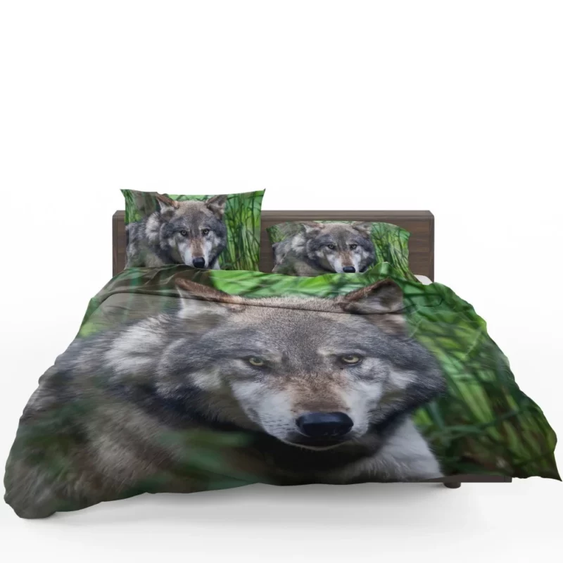 Wolf Intense Stare Wilderness Aura Bedding Set