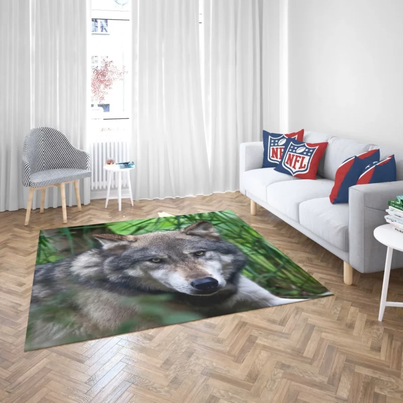 Wolf Intense Stare Wilderness Aura Rug 2