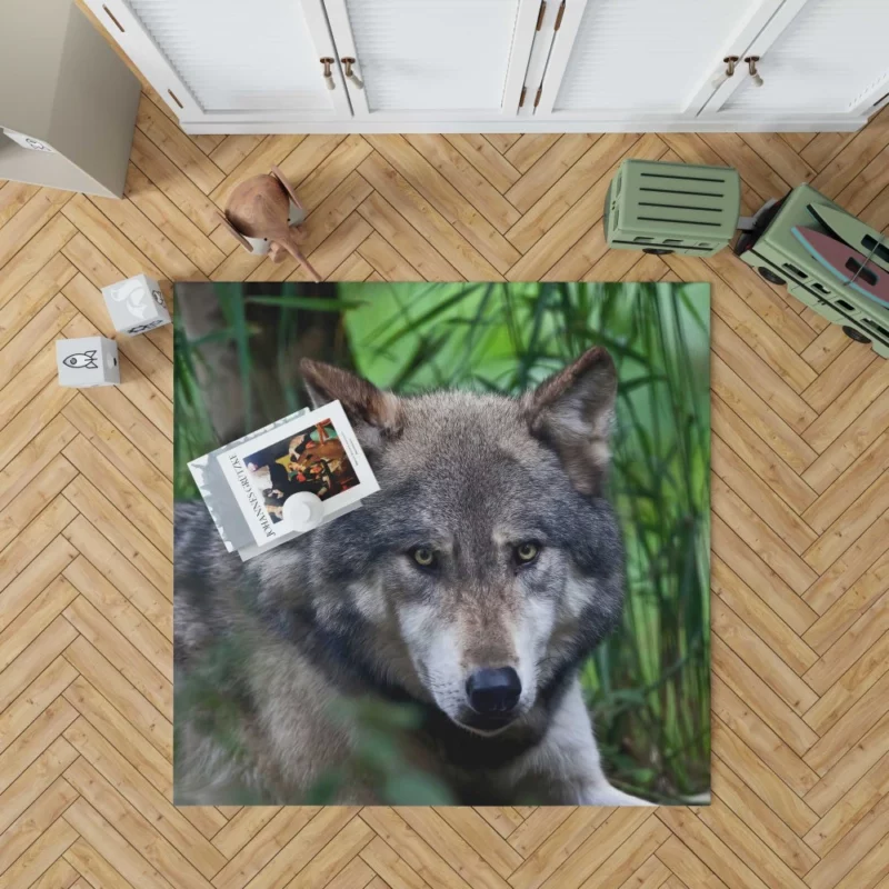 Wolf Intense Stare Wilderness Aura Rug