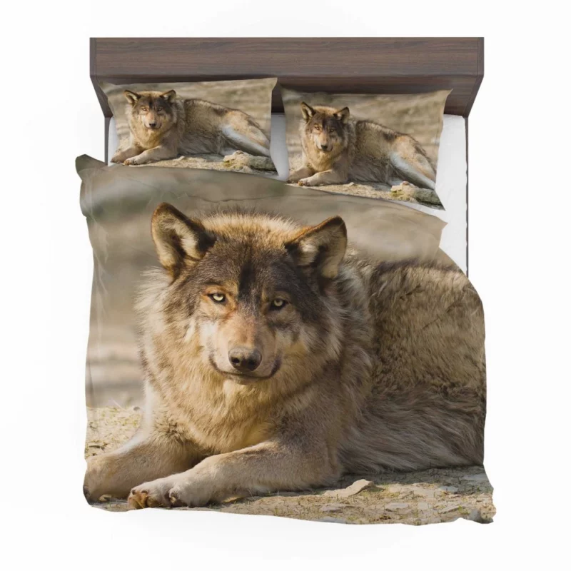 Wolf Intense Stare Wilderness Gaze Bedding Set 1