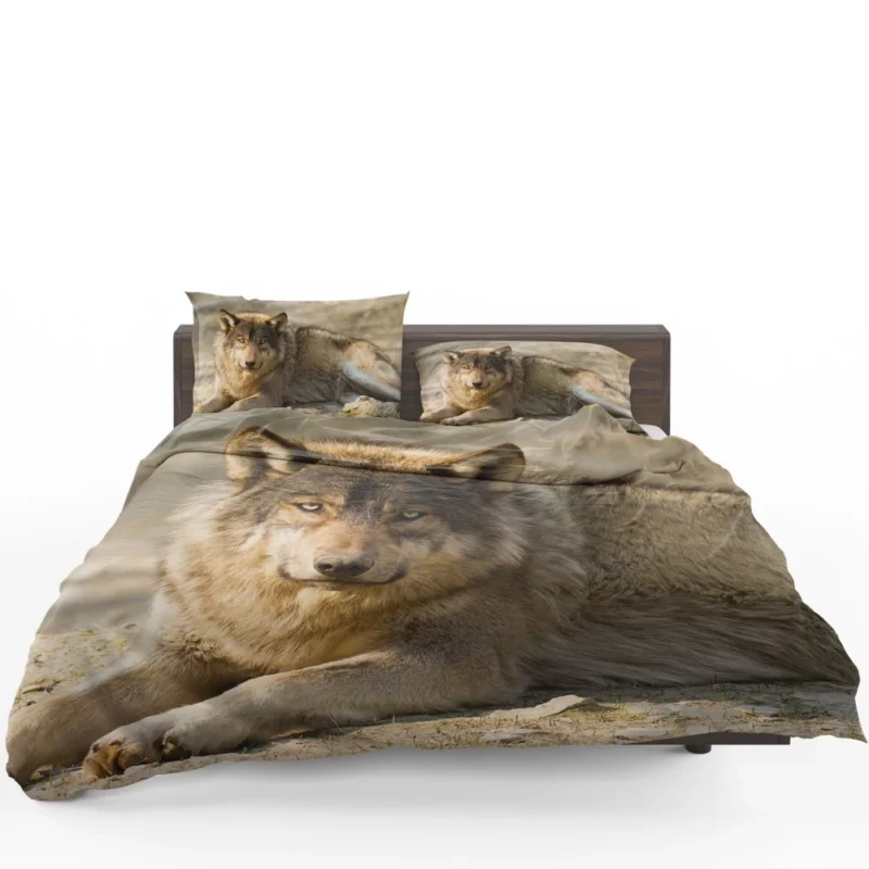 Wolf Intense Stare Wilderness Gaze Bedding Set