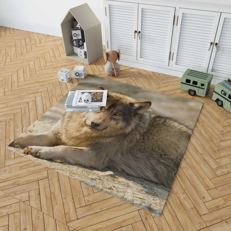 Wolf Intense Stare Wilderness Gaze Rug 1