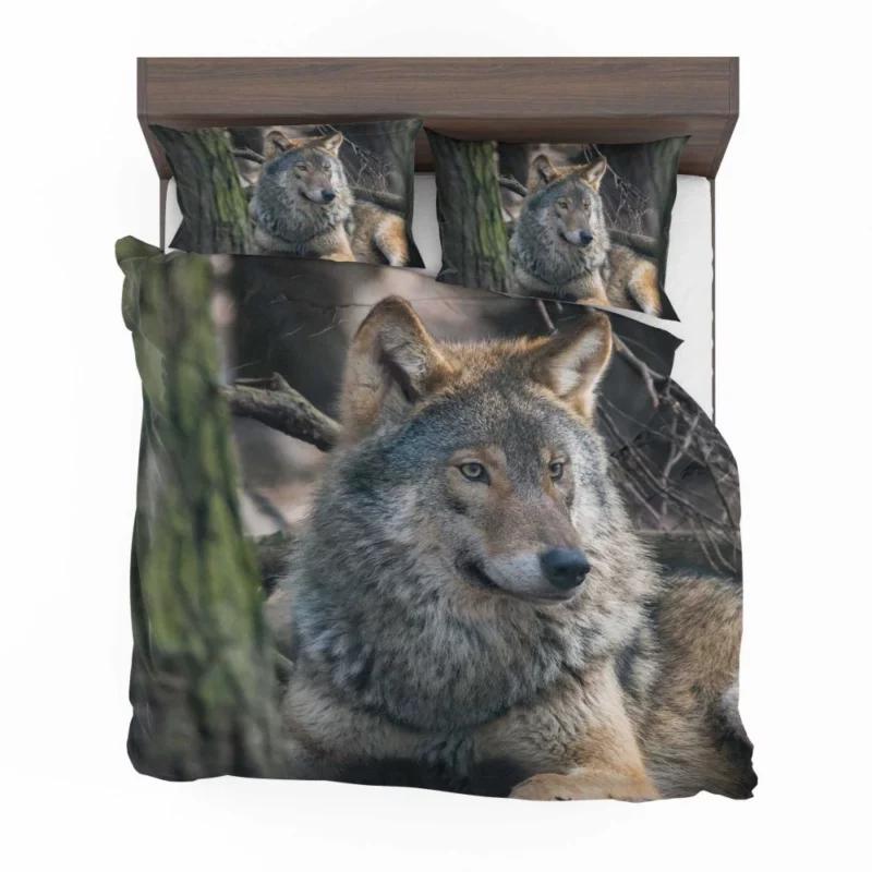 Wolf Majestic Presence Fierce Aura Bedding Set 1