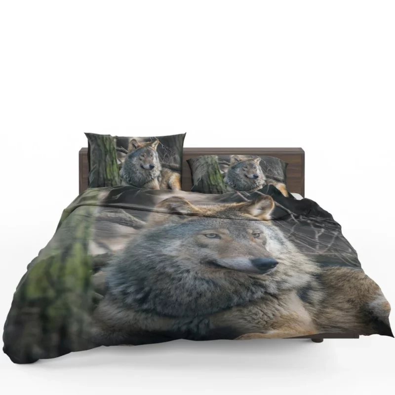 Wolf Majestic Presence Fierce Aura Bedding Set