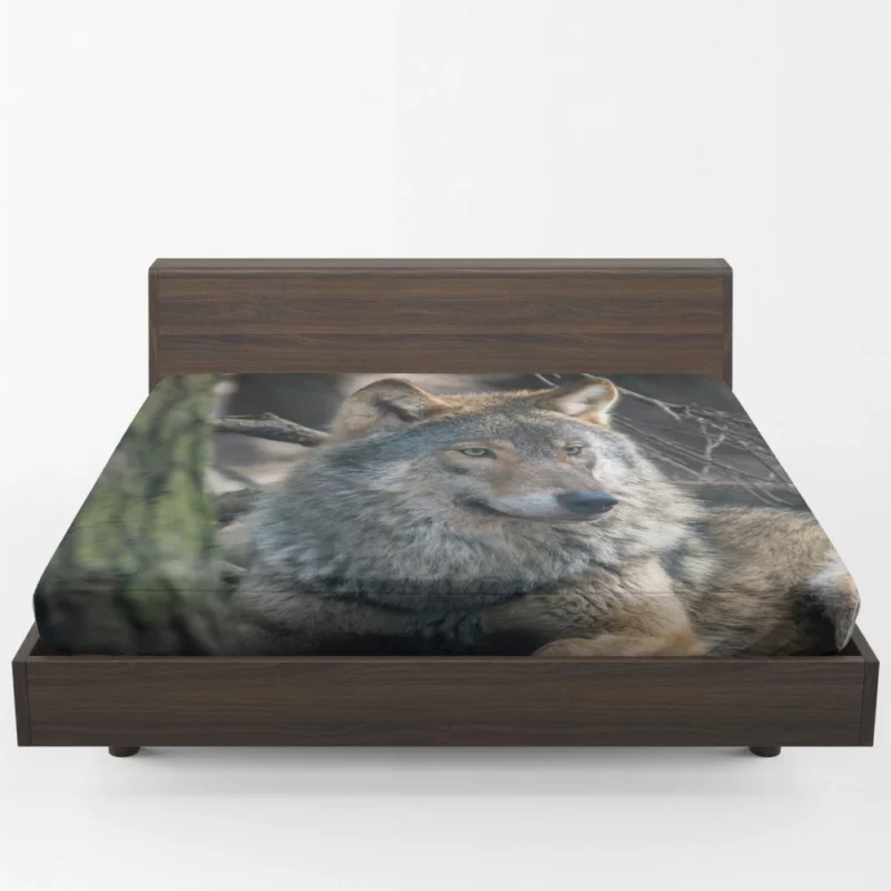 Wolf Majestic Presence Fierce Aura Fitted Sheet