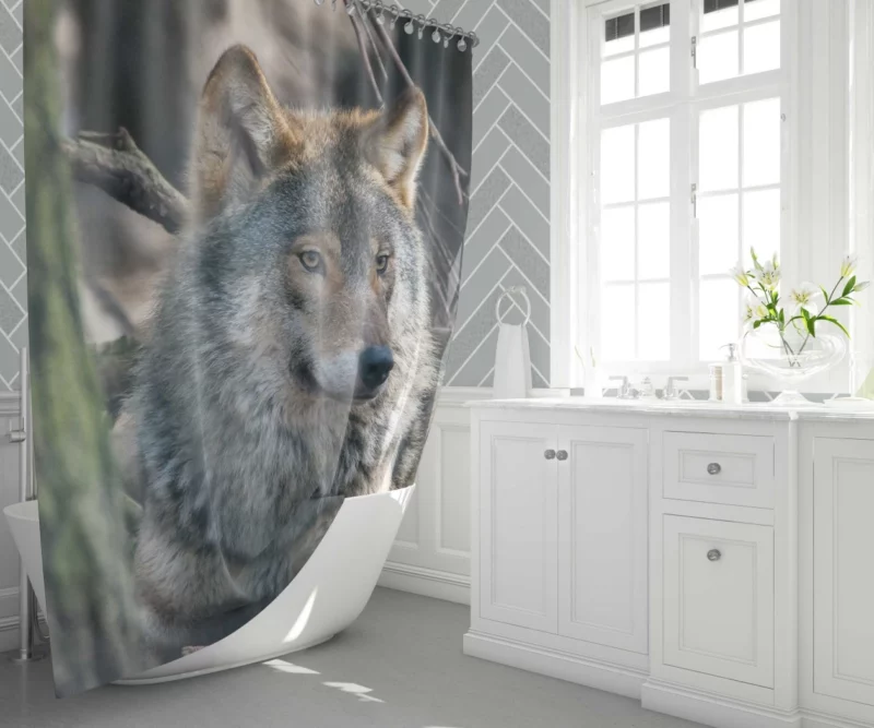 Wolf Majestic Presence Fierce Aura Shower Curtain 1