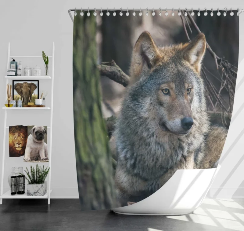 Wolf Majestic Presence Fierce Aura Shower Curtain