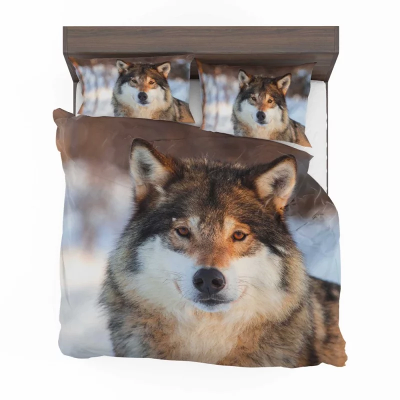 Wolf Majestic Presence Untamed Wilderness Bedding Set 1