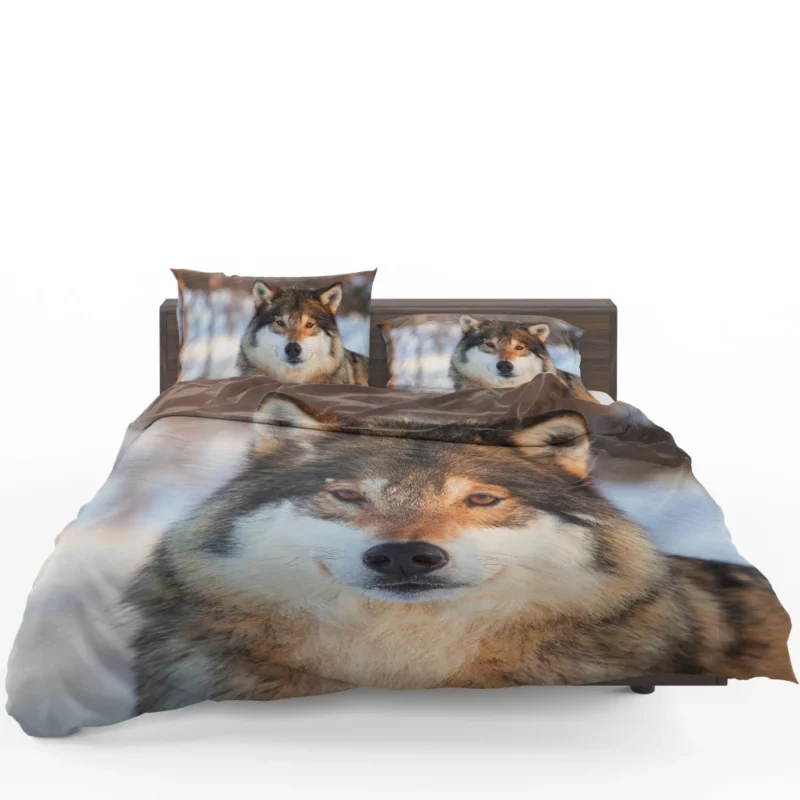 Wolf Majestic Presence Untamed Wilderness Bedding Set