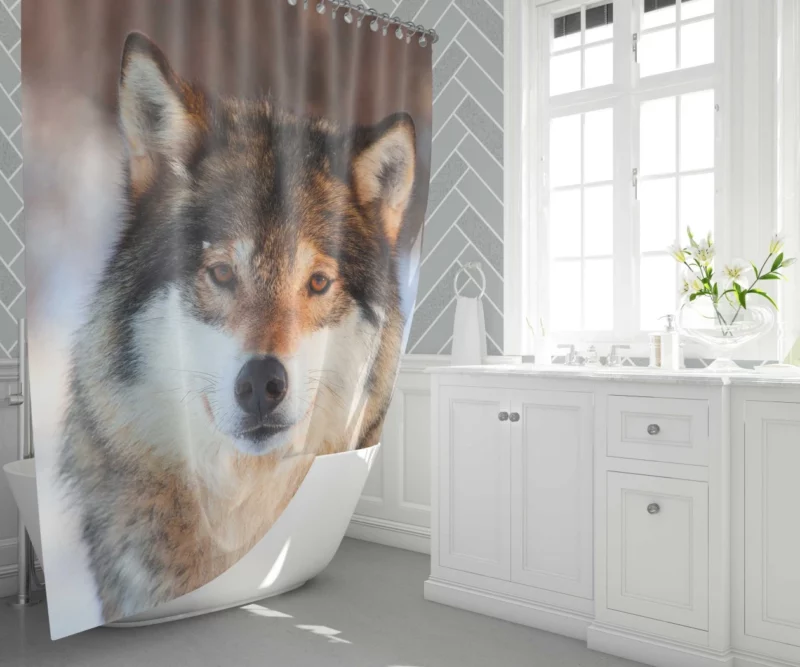 Wolf Majestic Presence Untamed Wilderness Shower Curtain 1