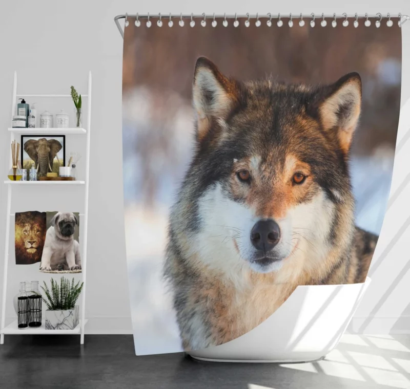 Wolf Majestic Presence Untamed Wilderness Shower Curtain