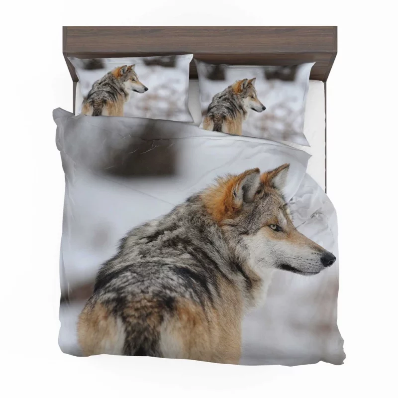 Wolf Mysterious Aura Bedding Set 1