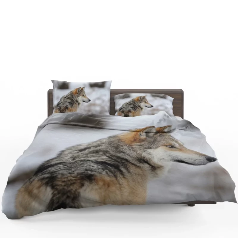 Wolf Mysterious Aura Bedding Set