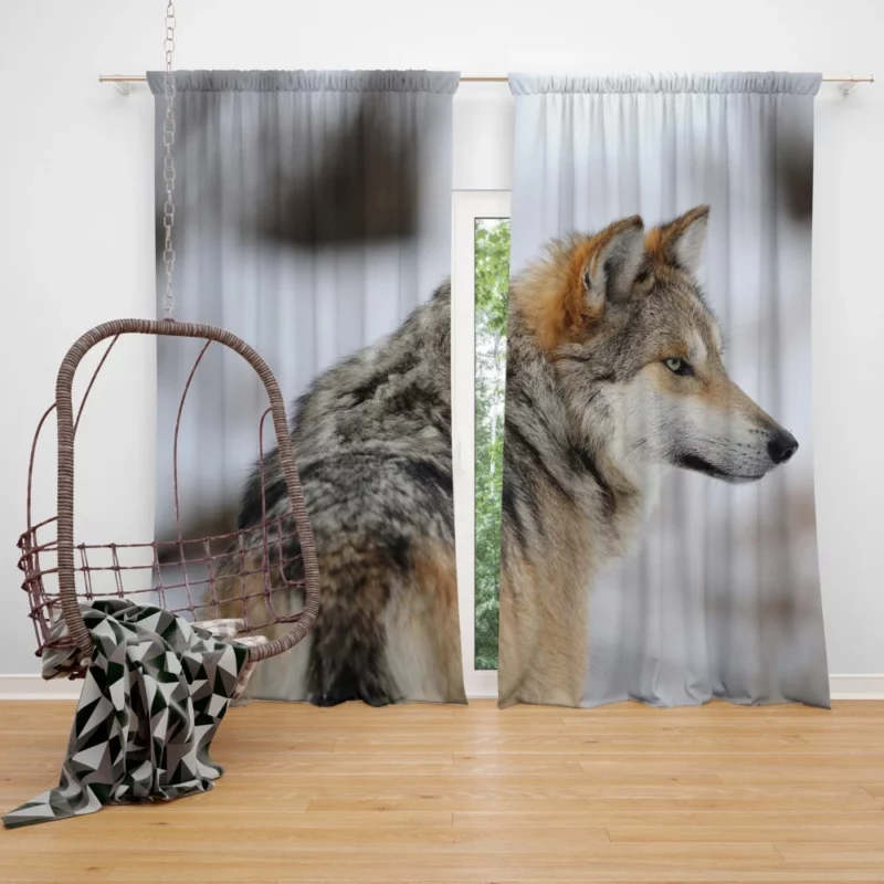 Wolf Mysterious Aura Curtain