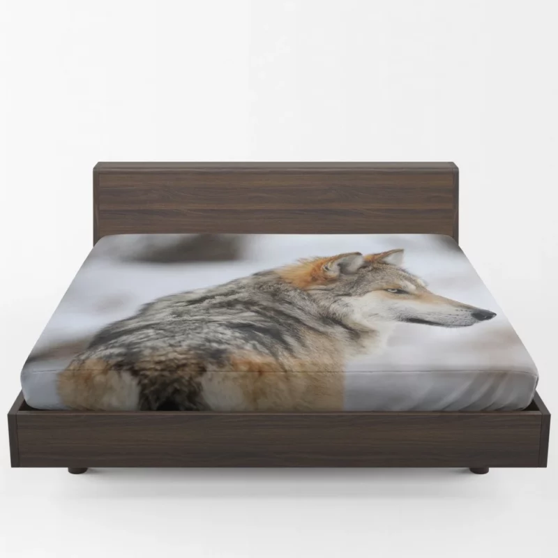 Wolf Mysterious Aura Fitted Sheet