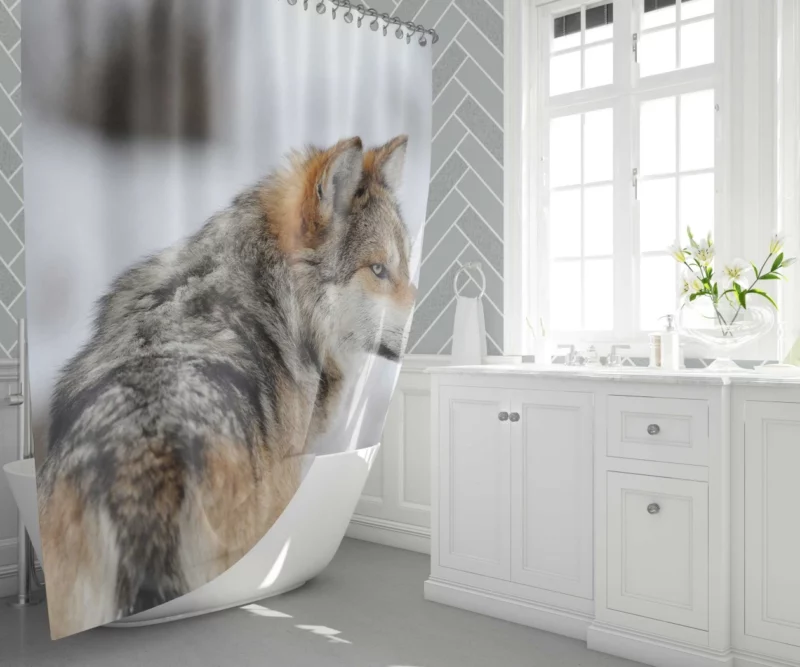 Wolf Mysterious Aura Shower Curtain 1